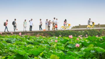 杭州+乌镇+苏州+上海7日6晚私家团
